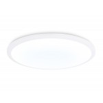 Потолочный светильник FZ1232 WH белый IP44 48W 6400К D450*55 (Без ПДУ)