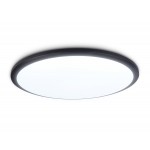 Потолочный светильник FZ1235 BK черный IP44 48W 6400К D450*55 (Без ПДУ)