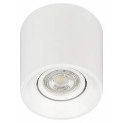 Купить Накладной потолочный светильник OL25-1 WH, белый, поворотный Накладной потолочный светильник OL25-1 WH, белый, поворотный