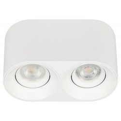 Купить Накладной потолочный светильник OL25-2 WH, белый, поворотный Накладной потолочный светильник OL25-2 WH, белый, поворотный