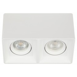 Купить Накладной потолочный светильник OL24-2 WH, белый, поворотный Накладной потолочный светильник OL24-2 WH, белый, поворотный