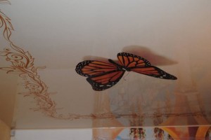 Натяжные потолки с фотопечатью