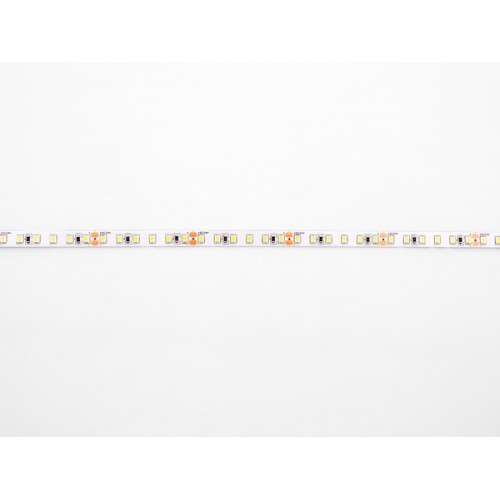 Светодиодная лента LIGHT 2835 120LED/м (9,6Вт/м) 24В холодный белый, 5м